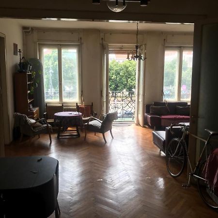 Spacious Apartman In The Center Βουδαπέστη Εξωτερικό φωτογραφία